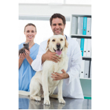 onde marcar consulta veterinária para cachorro Encruzilhada