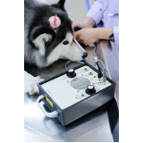 onde marcar consulta veterinária para cachorros Palmar