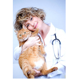 onde marcar consulta veterinária para gatos Chapada