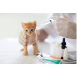 onde tem vacina antirrábica gato Neves