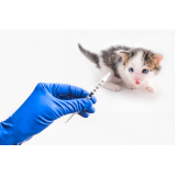 onde tem vacina antirrábica para gato Três córregos