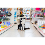 pet shop para cachorros Carambeí