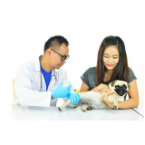 vacina contra raiva para cachorro Estrela