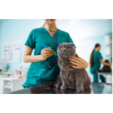 vacina de raiva para gatos Reserva