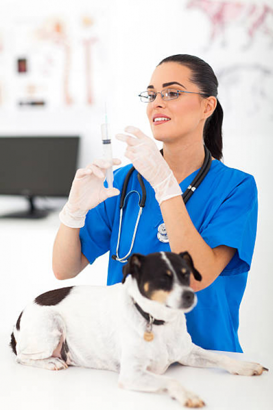 Vacina contra Raiva Gato Taquaruçu - Vacina Antirrábica para Cachorro