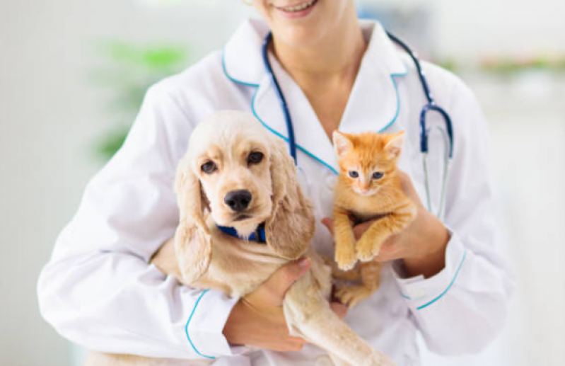 Vacina de Filhote de Cachorro Consultório Ronda - Vacina em Filhote de Cachorro