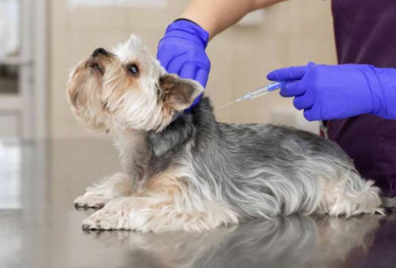 Vacina Giardia Cães Sete Saltos - Vacina em Cachorro